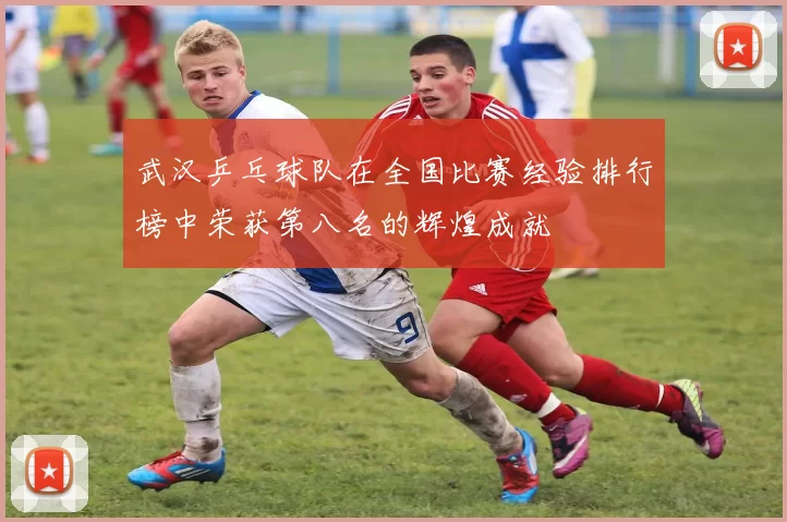 武汉乒乓球队在全国比赛经验排行榜中荣获第八名的辉煌成就
